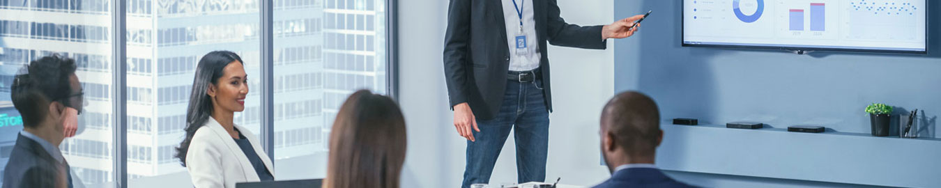 Company Valuation Service